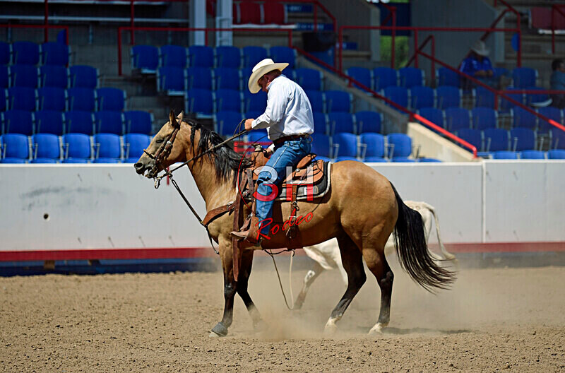 3HRodeo8-11-25_PRCASteer_06649_ - 2025 Colorado Stand Alone Steer Roping-Greeley