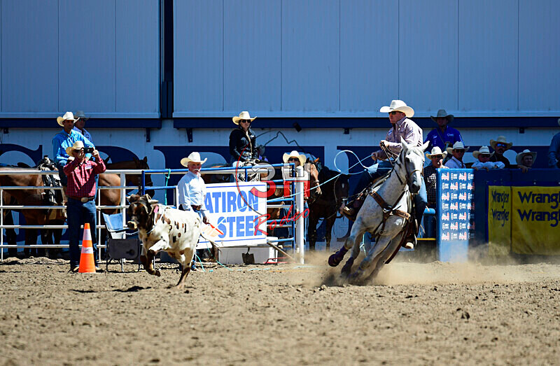3HRodeo8-11-25_PRCASteer_02493_ - 2025 Colorado Stand Alone Steer Roping-Greeley