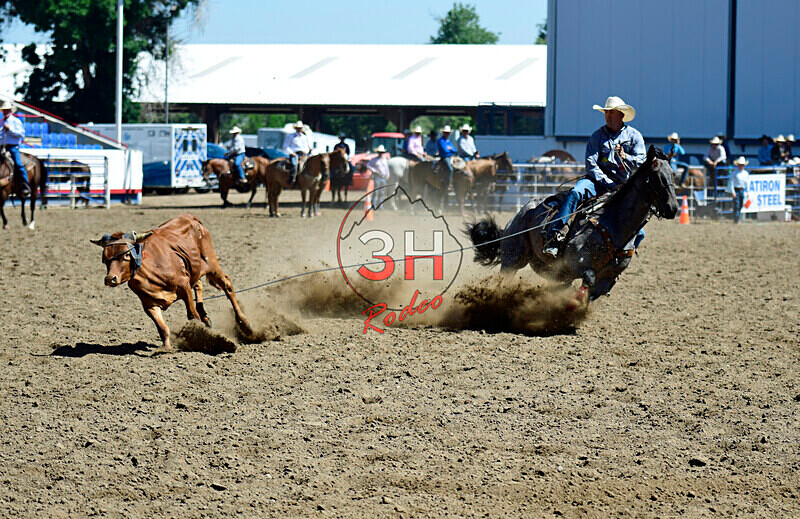 3HRodeo8-11-25_PRCASteer_02404_ - 2025 Colorado Stand Alone Steer Roping-Greeley