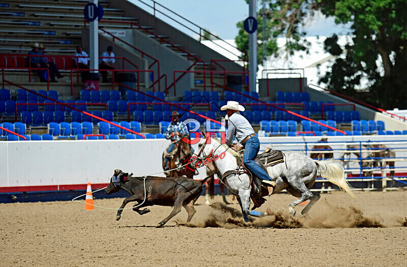 3HRodeo8-11-25_PRCASteer_06219_ - 2025 Colorado Stand Alone Steer Roping-Greeley
