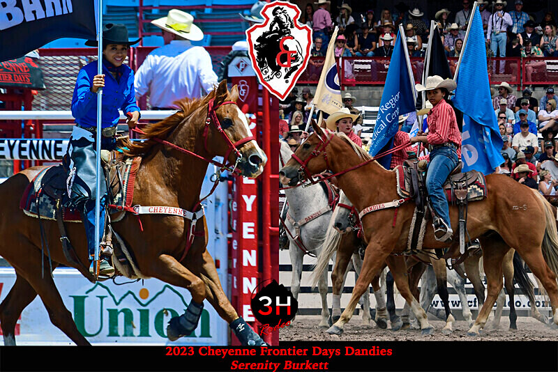 2 PIC Collage 2 with logos - Rodeo Images as Artwork Pieces
