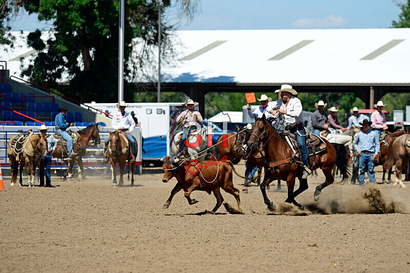 3HRodeo8-11-25_PRCASteer_07035_ - 2025 Colorado Stand Alone Steer Roping-Greeley
