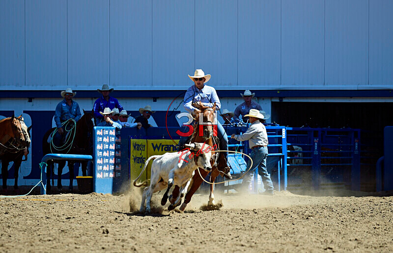 3HRodeo8-11-25_PRCASteer_02437_ - 2025 Colorado Stand Alone Steer Roping-Greeley