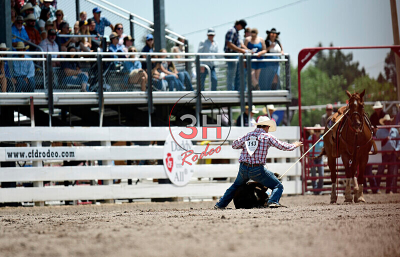 3HRodeo7-26-25_CFD_oooo2261_ - July 26th Rodeo Performance
