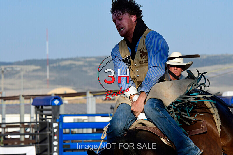 3HRodeo7-12-24_LJD_3HR3176_LJD - PRCA Rodeo - July 12, 2024