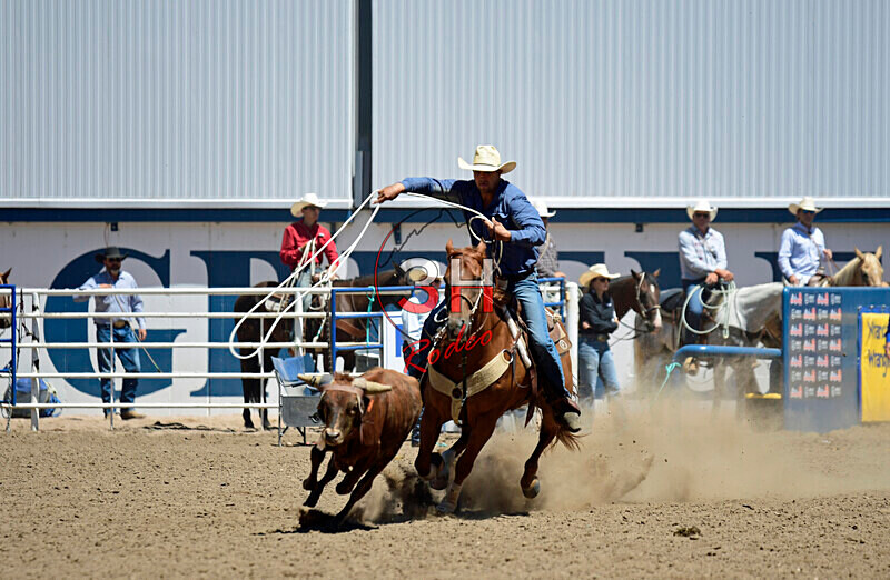 3HRodeo8-11-25_PRCASteer_04940_ - 2025 Colorado Stand Alone Steer Roping-Greeley