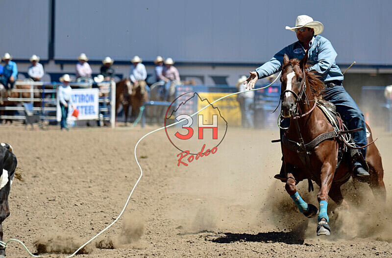 3HRodeo8-11-25_PRCASteer_03991_ - 2025 Colorado Stand Alone Steer Roping-Greeley