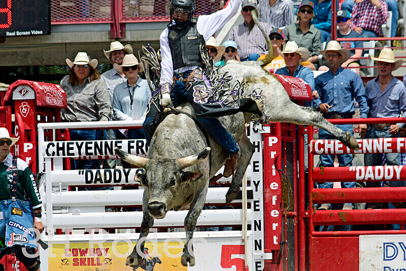 _DSC6978 - CFD Rodeo Performance - July 25th