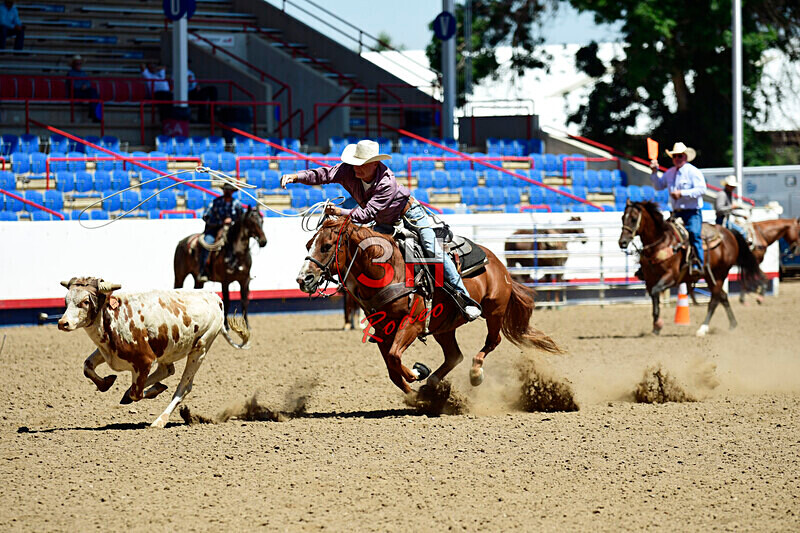 3HRodeo8-11-25_PRCASteer_03550_ - 2025 Colorado Stand Alone Steer Roping-Greeley