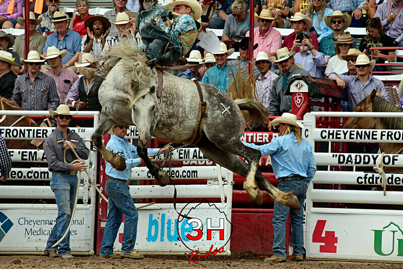 _DSC8198 - CFD Rodeo Performance - July 24th
