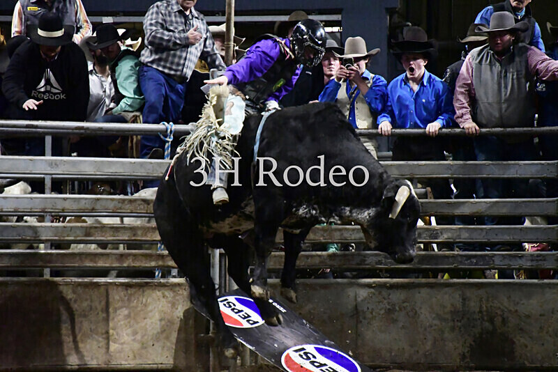 Brenson Bartlett_DSC1644 - Extreme Rodeo Challenge