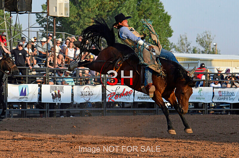 3HRodeo7-12-24_LJD_3HR3946_LJD - PRCA Rodeo - July 12, 2024