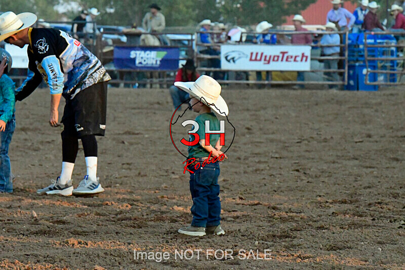 3HRodeo7-12-24_LJD_3HR4338_LJD - PRCA Rodeo - July 12, 2024
