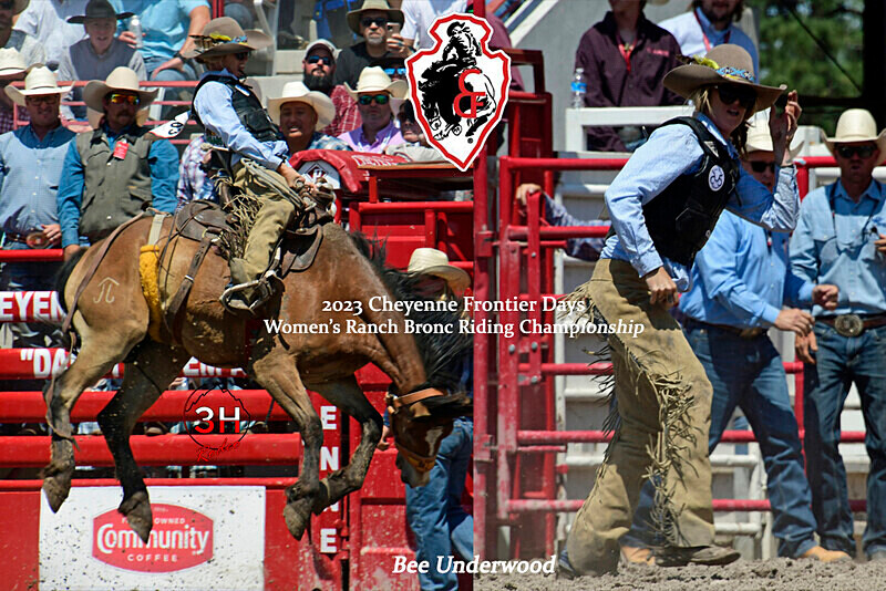 2 PIC Collage with logos - Rodeo Images as Artwork Pieces