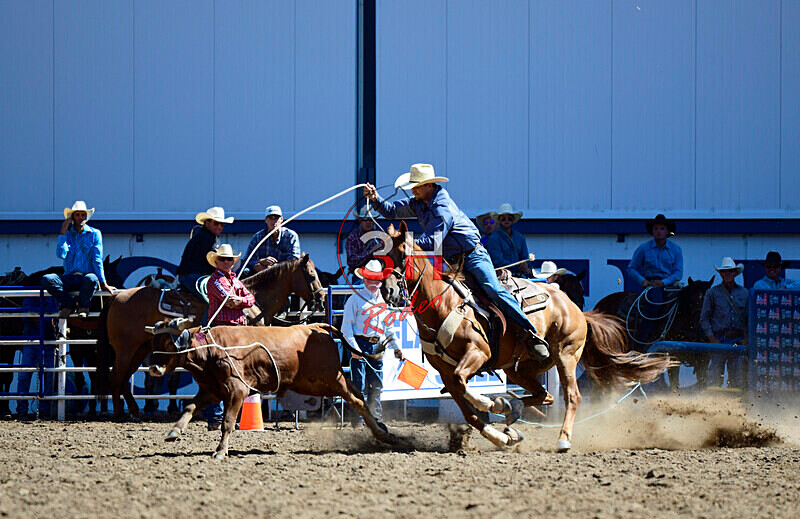3HRodeo8-11-25_PRCASteer_01179_ - 2025 Colorado Stand Alone Steer Roping-Greeley