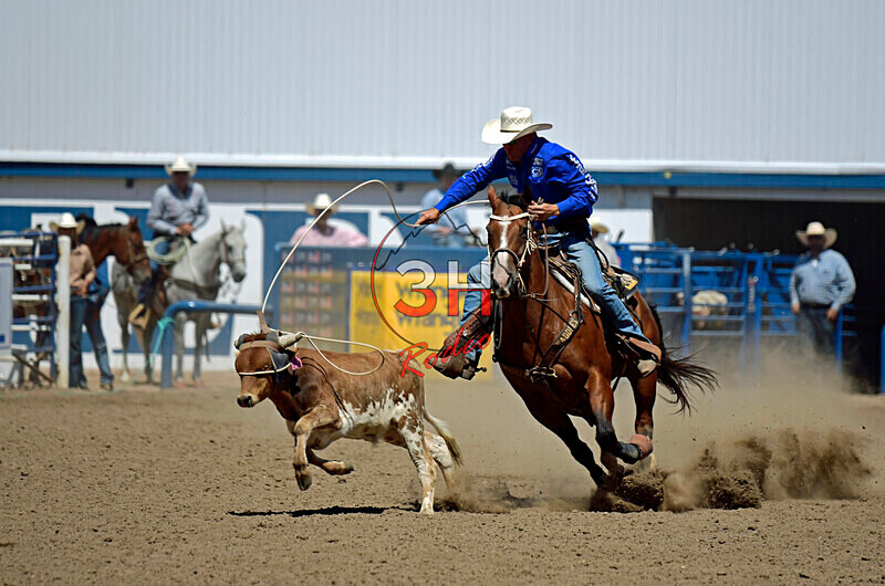 3HRodeo8-11-25_PRCASteer_06452_ - 2025 Colorado Stand Alone Steer Roping-Greeley