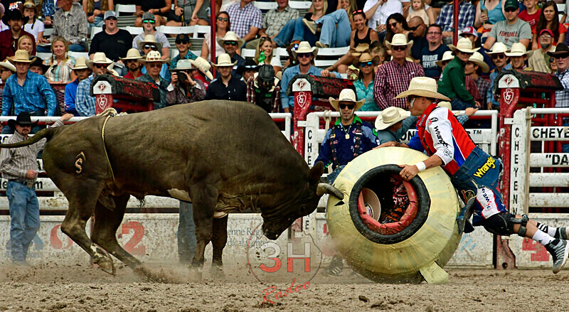 Just_Clowning_Webster_CFD_8820 - PRCA Photographer Permit Portfolio-2025