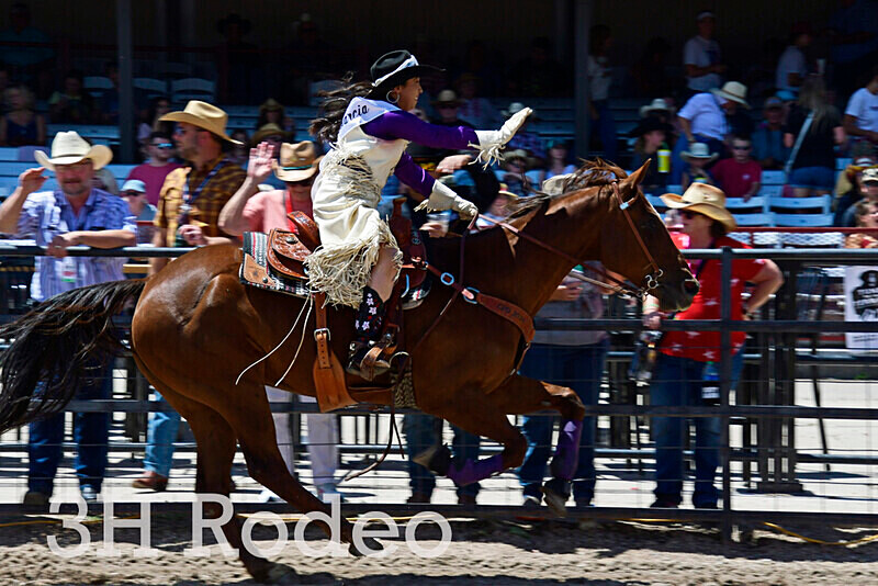 _DSC5564 - CFD Rodeo Performance - July 25th