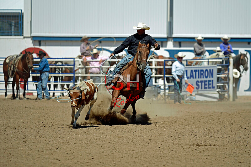 3HRodeo8-11-25_PRCASteer_06784_ - 2025 Colorado Stand Alone Steer Roping-Greeley