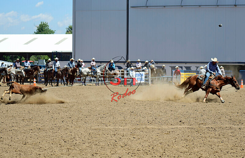 3HRodeo8-11-25_PRCASteer_04081_ - 2025 Colorado Stand Alone Steer Roping-Greeley
