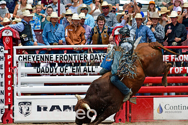 _DSC7183 - CFD Rodeo Performance - July 25th