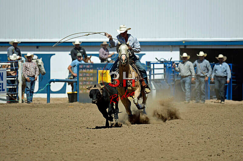 3HRodeo8-11-25_PRCASteer_06826_ - 2025 Colorado Stand Alone Steer Roping-Greeley