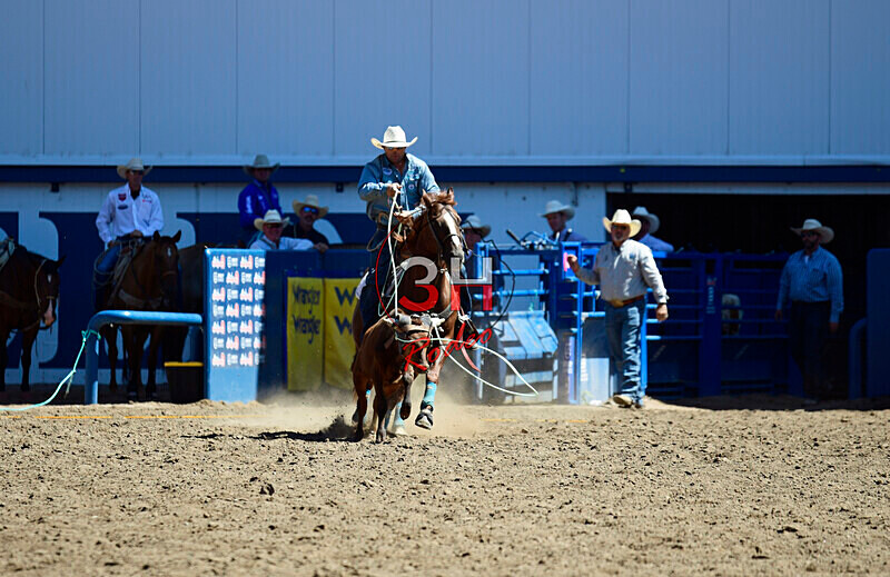 3HRodeo8-11-25_PRCASteer_02536_ - 2025 Colorado Stand Alone Steer Roping-Greeley