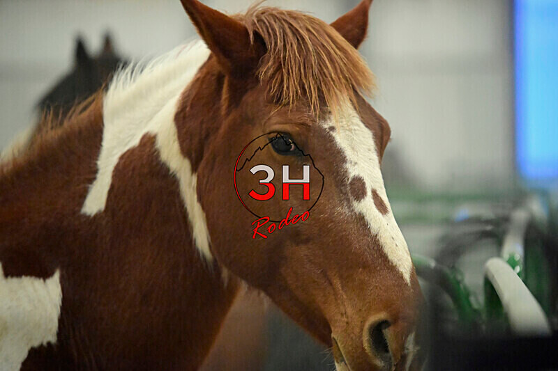 3HRodeo_Frozen_Fury_FEB_2026_00113 - 2026 Frozen Fury on the Plains