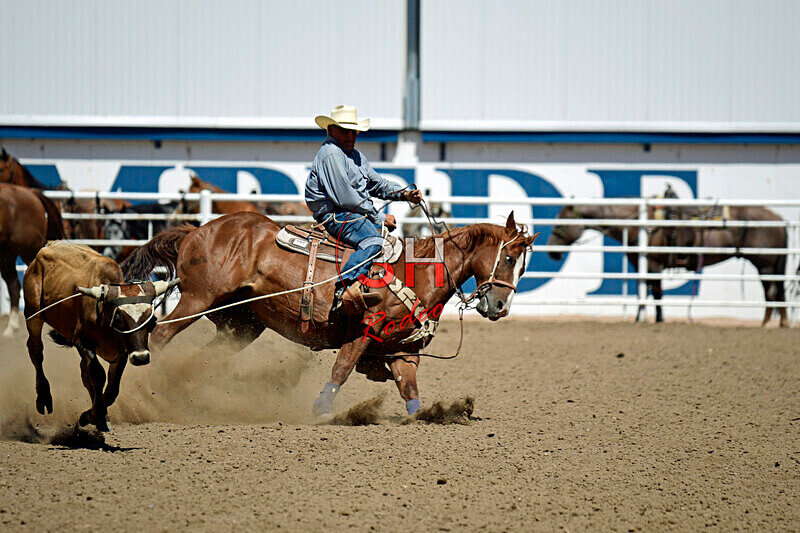 3HRodeo8-11-25_PRCASteer_06305_ - 2025 Colorado Stand Alone Steer Roping-Greeley