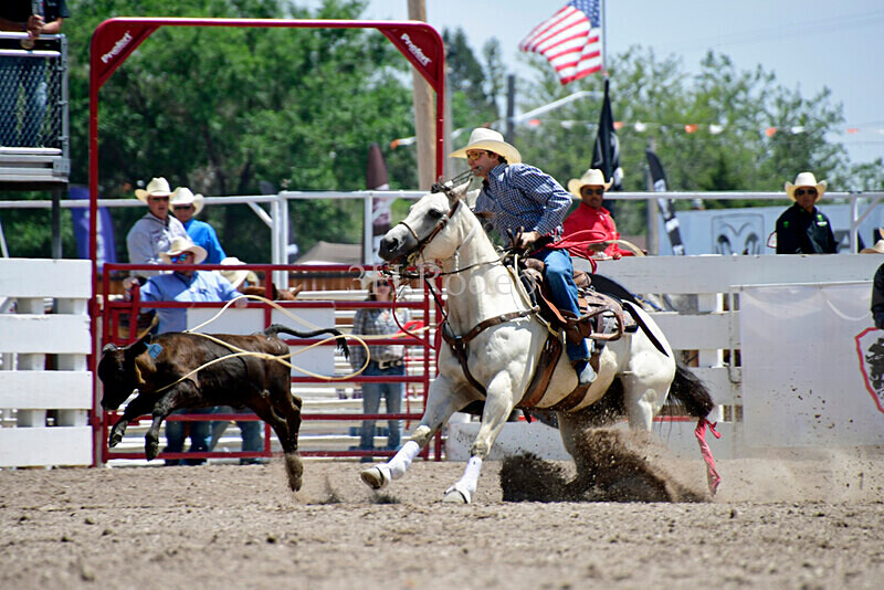 _DSC5316 - CFD Rodeo Performance - July 29th