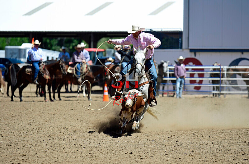 3HRodeo8-11-25_PRCASteer_04152_ - 2025 Colorado Stand Alone Steer Roping-Greeley