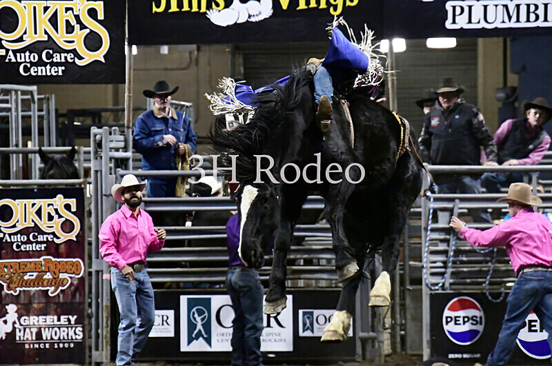 Reigns Provost_DSC2073 - Extreme Rodeo Challenge