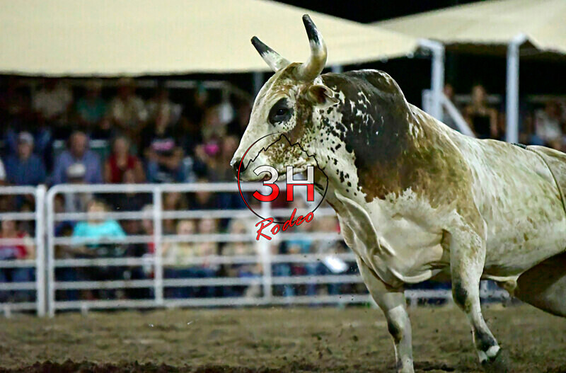 3HRodeo8-5-24_CFD_3HR-YUMA- 6148_ - AUG 5th Rodeo Performance