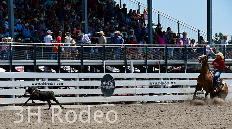 _DSC6229 - CFD Rodeo Performance - July 22nd