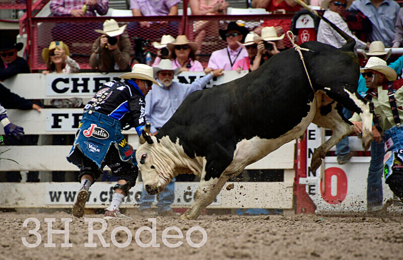 _DSC4169 - CFD Rodeo Performance - July 28th
