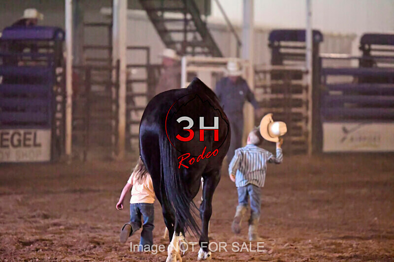 3HRodeo7-12-24_LJD_3HR5348_LJD - PRCA Rodeo - July 12, 2024