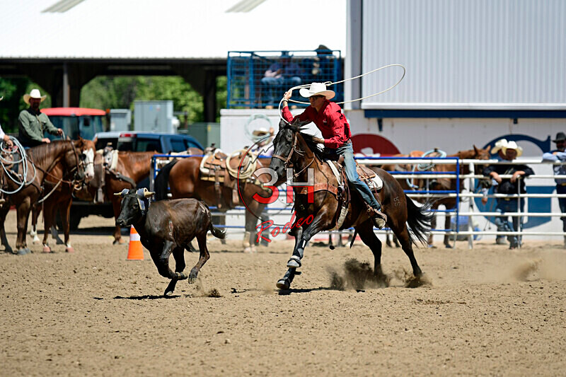 3HRodeo8-11-25_PRCASteer_05014_ - 2025 Colorado Stand Alone Steer Roping-Greeley