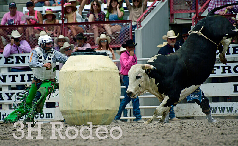 _DSC4175 - CFD Rodeo Performance - July 27th