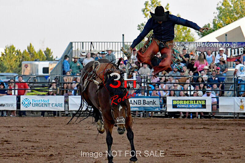 3HRodeo7-12-24_LJD_3HR4096_LJD - PRCA Rodeo - July 12, 2024