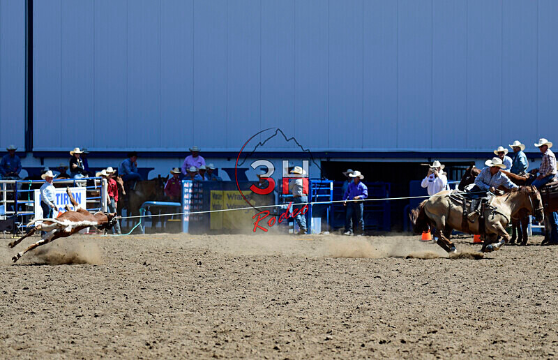 3HRodeo8-11-25_PRCASteer_02165_ - 2025 Colorado Stand Alone Steer Roping-Greeley