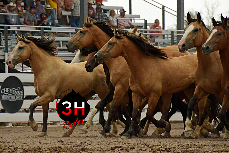 _DSC9188 - 2022 Cheyenne Frontier Days