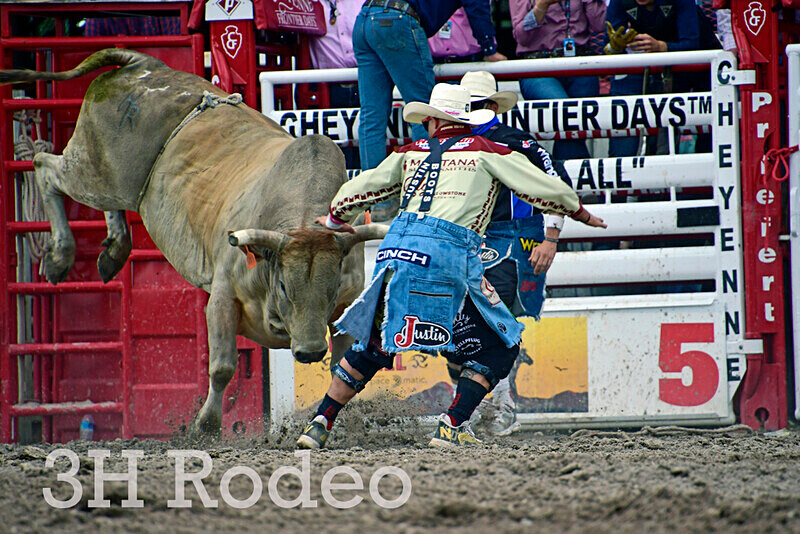 _DSC8432 - CFD Rodeo Performance - July 27th
