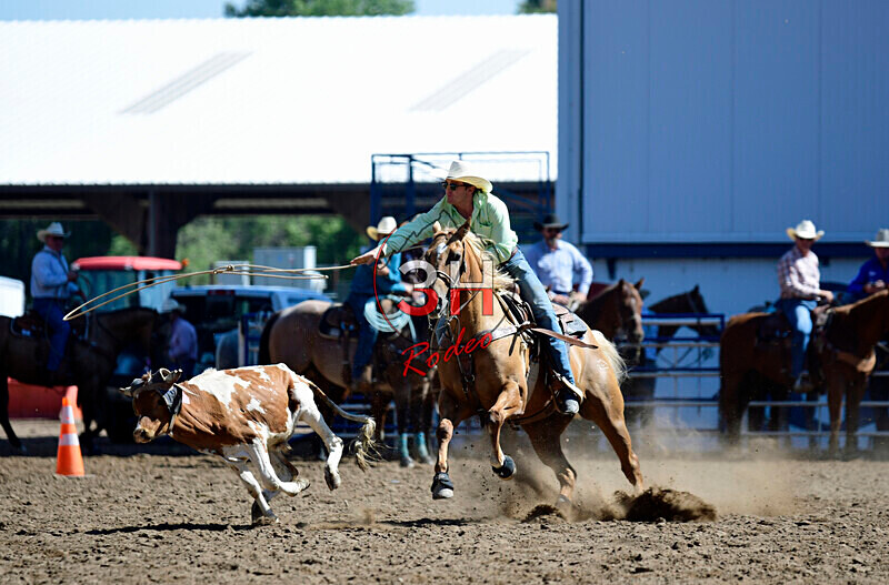 3HRodeo8-11-25_PRCASteer_00728_ - 2025 Colorado Stand Alone Steer Roping-Greeley