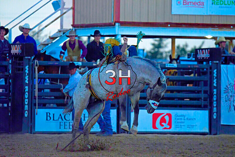 3HRodeo8-4-24_CFD_3HR-YUMA- 0730_ - AUG 4th Rodeo Performance