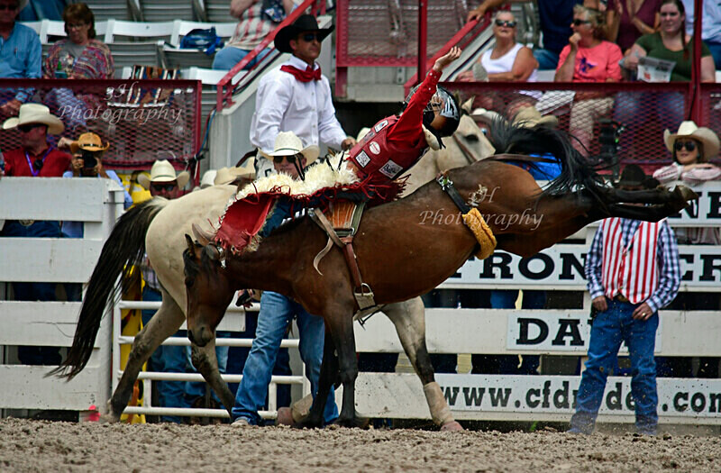 _DSC8131 - 2019 Cheyenne Frontier Days