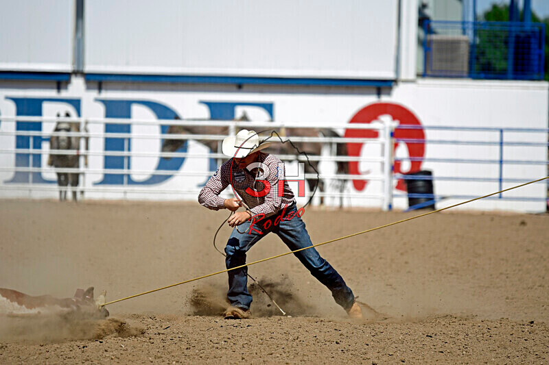 3HRodeo8-11-25_PRCASteer_07467_ - 2025 Colorado Stand Alone Steer Roping-Greeley