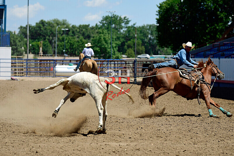 3HRodeo8-11-25_PRCASteer_05721_ - 2025 Colorado Stand Alone Steer Roping-Greeley