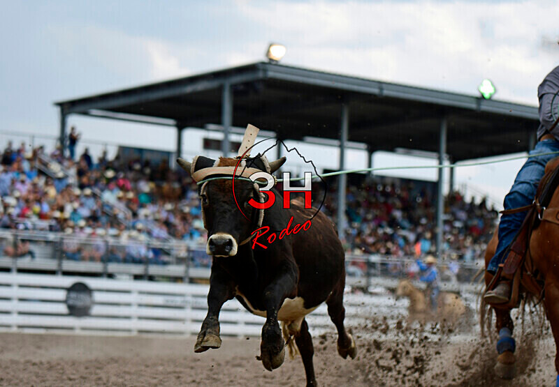 3HRodeo7-28-24_CFD_3HR-CFD- 05746_ - July 28 Rodeo Performance - FINALS