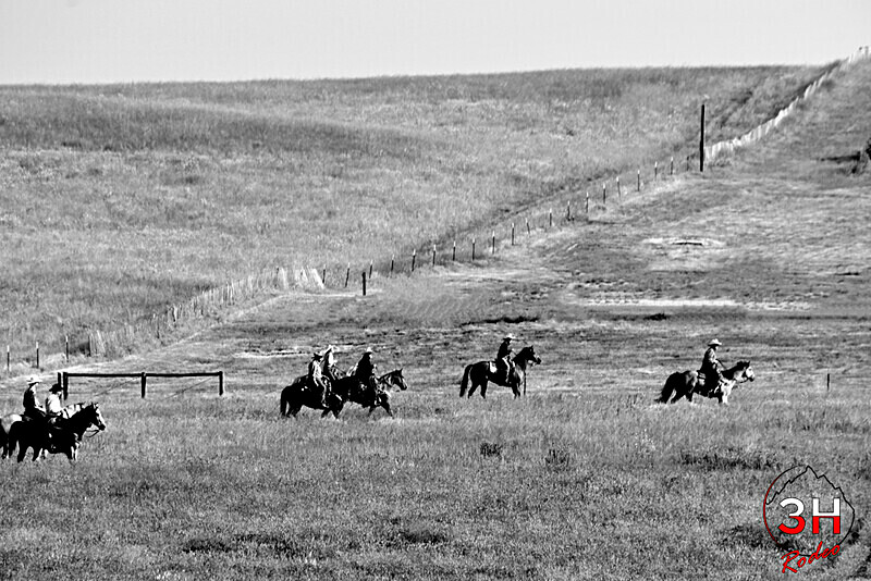 _DSC1545 BW - Bucking Horse Drive & Faces of CFD