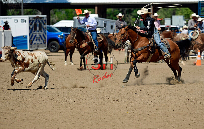 3HRodeo8-11-25_PRCASteer_07069_ - 2025 Colorado Stand Alone Steer Roping-Greeley